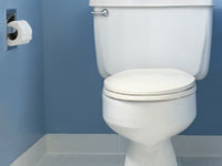 Houston clogged toilet